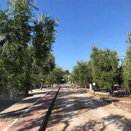 Tenuta Montincello * Вьесте
