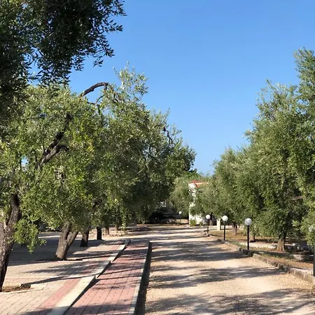 Holiday home Tenuta Montincello