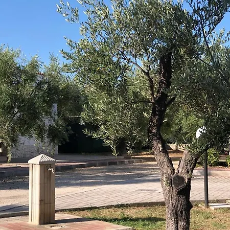 Tenuta Montincello *