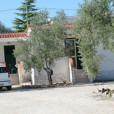Tenuta Montincello