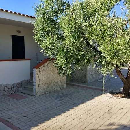 Tenuta Montincello